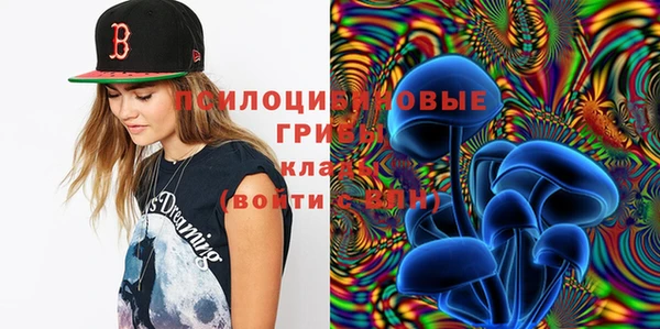твердый Касимов