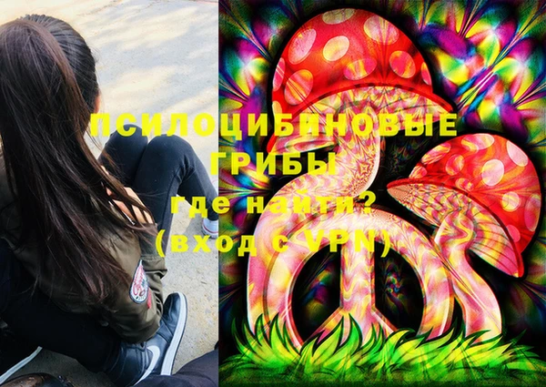 твердый Касимов