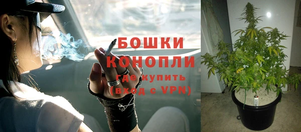твердый Касимов