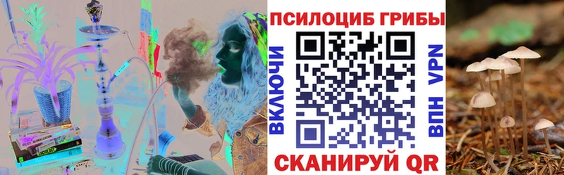 Псилоцибиновые грибы MAGIC MUSHROOMS  Купить  Нурлат 
